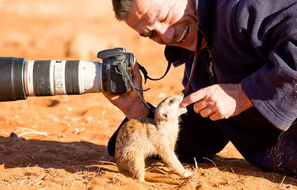 超萌！非洲猫鼬向摄影师撒娇求食物