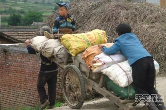 颠簸在农村道路上的这几款车：你坐过几种