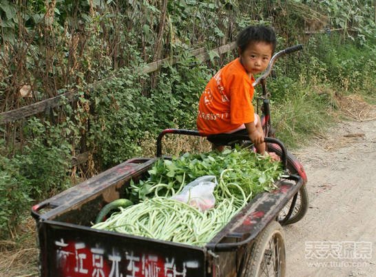 颠簸在农村道路上的这几款车：你坐过几种