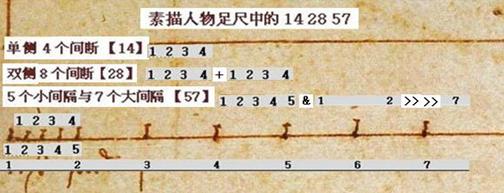 达芬奇 《维特鲁威人》 数字之谜