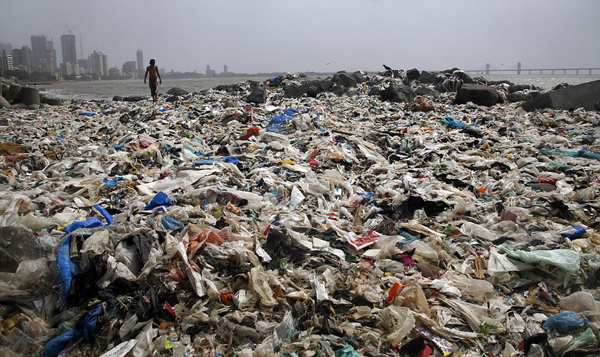孟买海滩5000吨垃圾被清理 金色沙滩重见天日