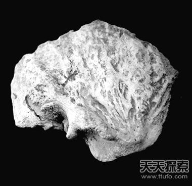许昌人化石能否揭开中国人来源之谜？