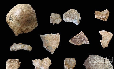许昌人化石能否揭开中国人来源之谜？