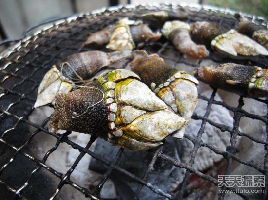 西方认为最奇怪的十种日本食物：国人笑了