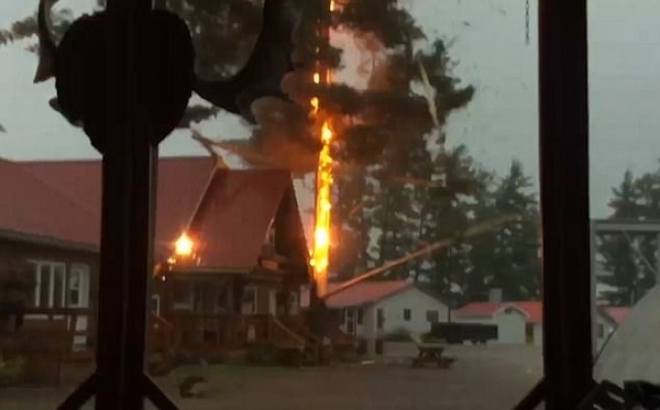 加拿大旅馆旁大树被闪电击断 险砸毁房屋
