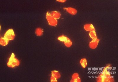 盘点全球最古怪的13个地方：震撼你双眼的地界