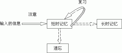 忘情水真的存在？科学家研究出记忆删除药丸