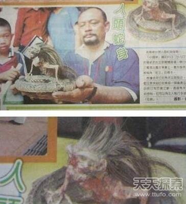 震惊！印尼发现人头蛇身怪物 到底是真是假？