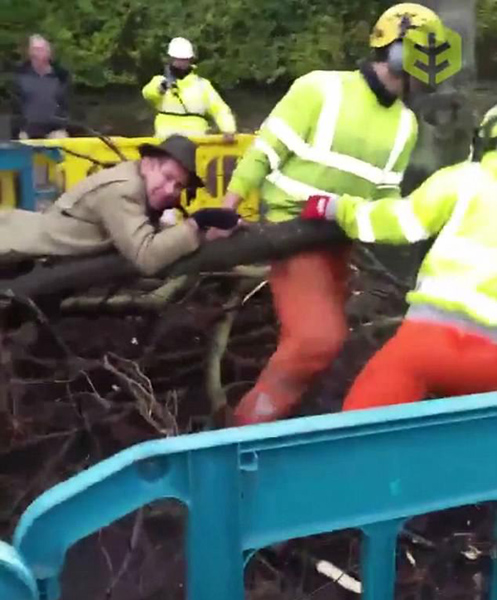 英环保分子紧抱被伐倒树木不放以示抗议