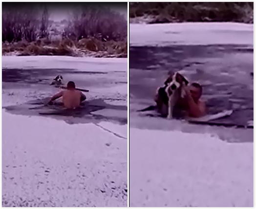 真的勇士！俄男子裸身跳入冰河中救被困狗狗