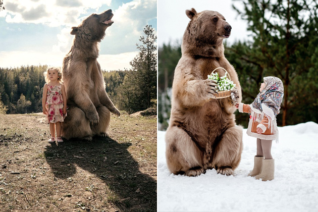 俄罗斯600斤大灰熊与小女孩拍唯美照片