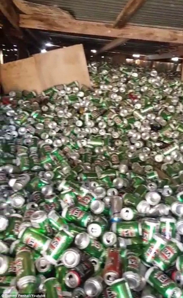 全是自己喝的！澳男子15年收集3万个啤酒罐